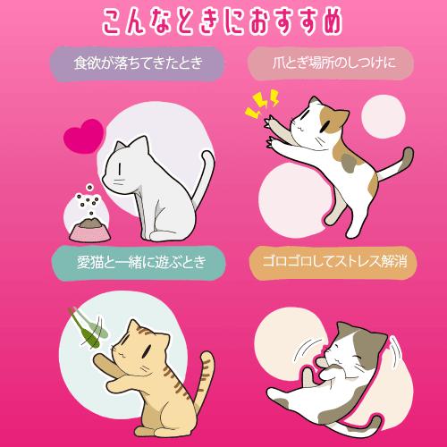 スマック またたび 猫 またたび またたび玉 マタタビ またたび粉