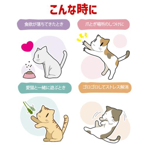 猫 おやつ またたび マタタビ またたび玉　おまとめ お徳用6個セット またたびスナック 食欲 ゴロゴロ 虫えい果 またたび玉 まぐろ味 15ｇ×６袋｜kocka｜04