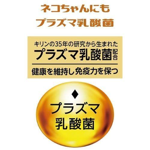 猫 歯磨き 猫 デンタルケア おやつ おまとめ 6個セット 乳酸菌 プラクト ねこちゃんの歯みがき デンタルクランチ 小粒タイプ まぐろ味 17g6袋｜kocka｜05