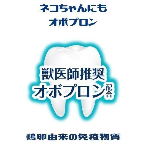 猫 歯磨き 猫 デンタルケア おやつ おまとめ 6個セット 乳酸菌 プラクト ねこちゃんの歯みがき デンタルクランチ 小粒タイプ まぐろ味 17g6袋｜kocka｜07