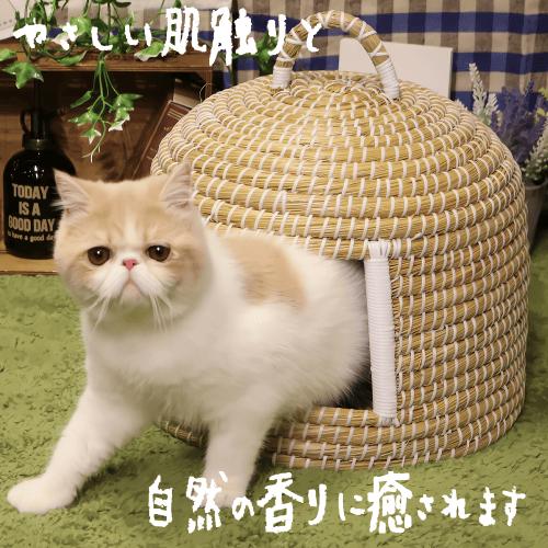 キャティーマン 猫 ベッド 猫ベッド ナチュラル 猫ちぐら ちぐら 天然