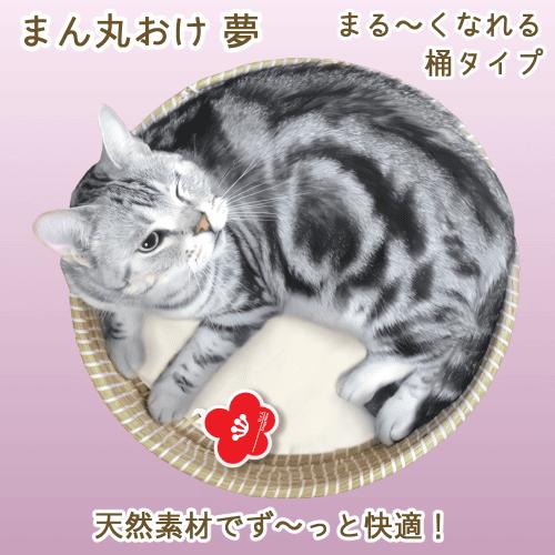 キャティーマン 猫ベッド ペットベッド 猫ハウス ペット 猫ちぐら