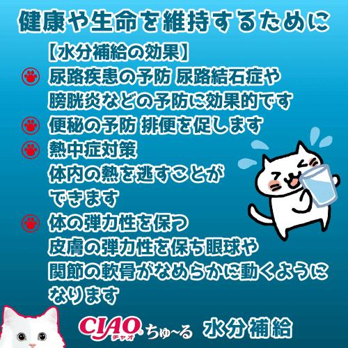 INABA ちゅ〜る ちゅーる チュール 猫 おやつ ねこぴゅーれ ciaoちゅ
