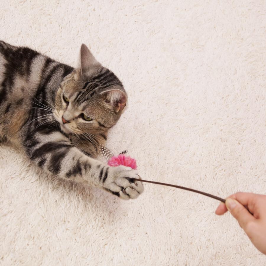 【Cat lovers】猫じゃらし ６点まとめて 天然素材 おまけ棒紐付 Cat lovers】猫じゃらし 6点まとめて 天然素材 おまけ棒紐付 71