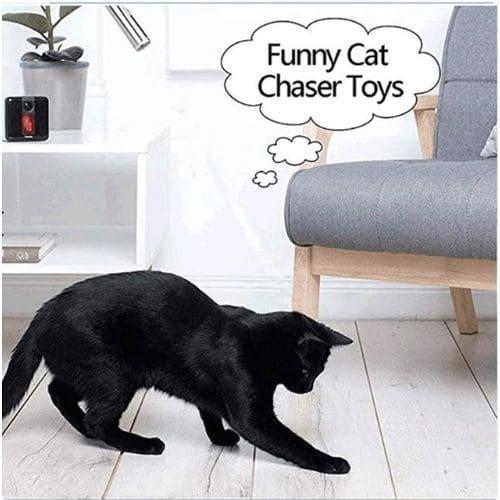猫のおもちゃ猫じゃらし黒猫感謝デー