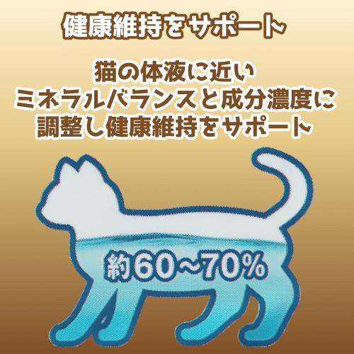 キャットフード　ウエット　いなば　アイシア アイシア（AIXIA） キャットフード 猫 ウェットフード 黒缶 パウチ 猫