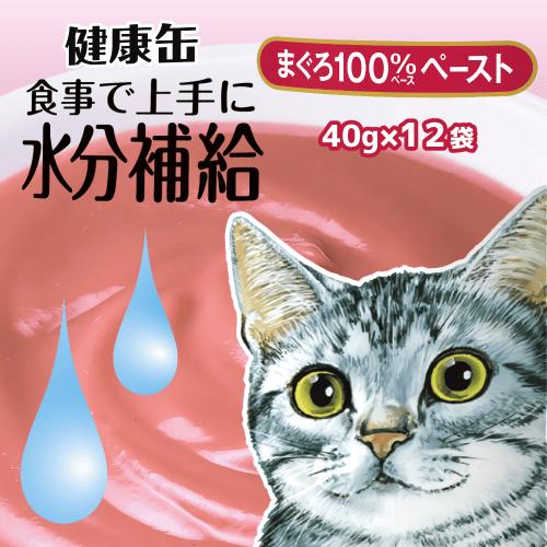 アイシア（AIXIA） キャットフード 猫 ウェットフード 猫パウチ 水分