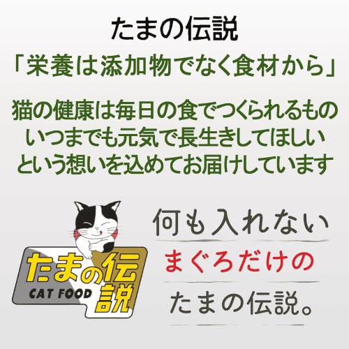 たまの伝説 パウチ キャットフード 猫 ウェットフード レトルト 新鮮な