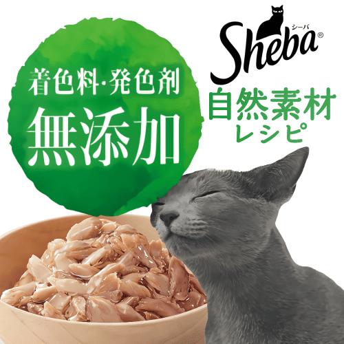 シーバ キャットフード 猫 ウェットフード 猫パウチ シーバパウチ 無