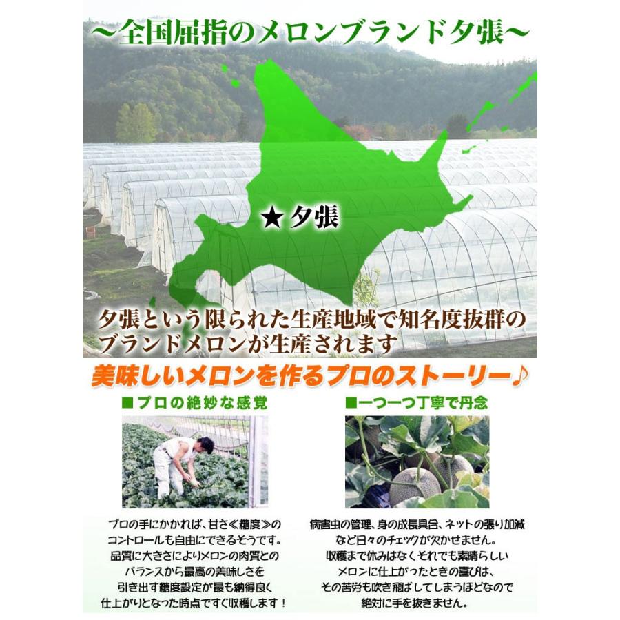 【最安挑戦】夕張メロン 訳あり 8kg 4〜8玉 (7月前後頃より順次発送) (玉数指定不可/収穫次第出荷/お届け日指定不可/選択無効/キャンセル不可/不在注意) |  | 02