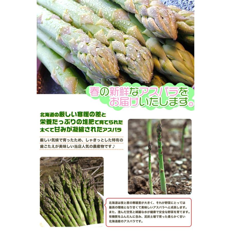 アスパラ 訳あり 1kg SS〜2L (5月下旬前後頃より順次発送) (収穫次第出荷/お届け日指定不可/選択無効/キャンセル不可/受取不在注意) |  | 03
