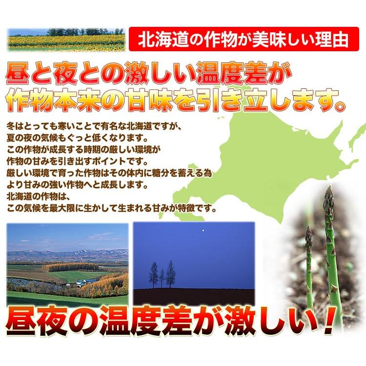 アスパラ 訳あり 1kg SS〜2L (5月下旬前後頃より順次発送) (収穫次第出荷/お届け日指定不可/選択無効/キャンセル不可/受取不在注意) |  | 04