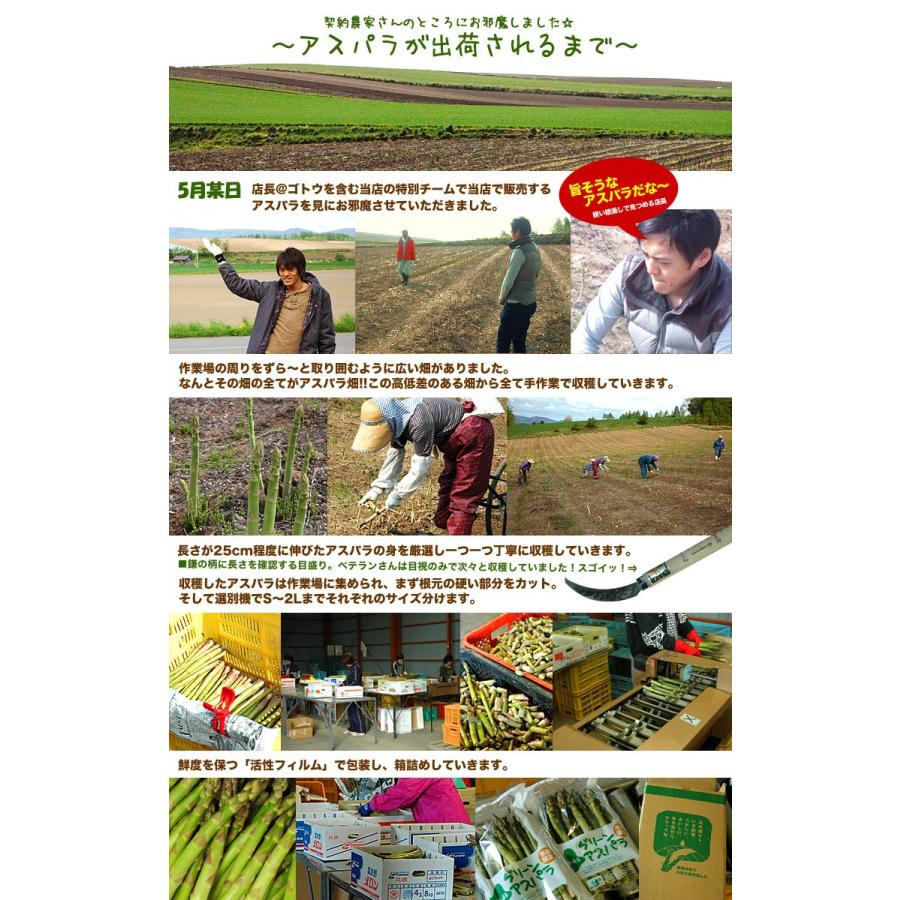 アスパラ 訳あり 1kg SS〜2L (5月下旬前後頃より順次発送) (収穫次第出荷/お届け日指定不可/選択無効/キャンセル不可/受取不在注意) |  | 05