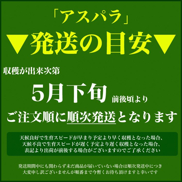 アスパラ 極太2L 1kg (5月下旬前後頃より順次発送) (収穫次第出荷/お届け日指定不可/選択無効/キャンセル不可/受取不在注意) |  | 01