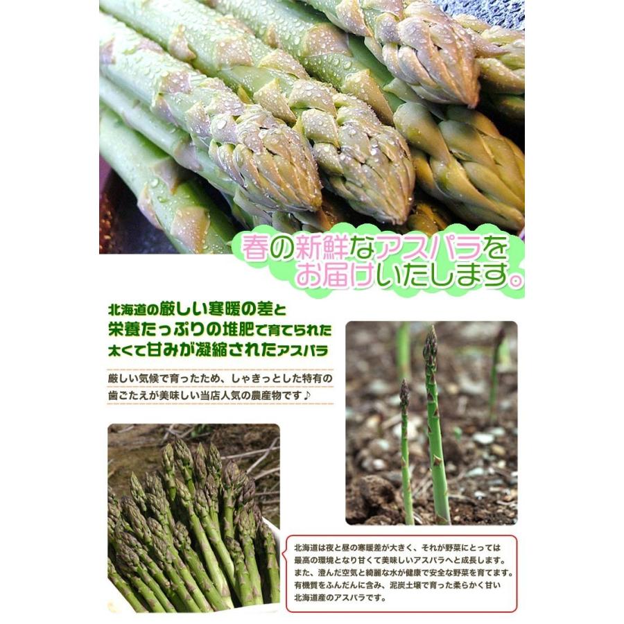 アスパラ 極太2L 1kg (5月下旬前後頃より順次発送) (収穫次第出荷/お届け日指定不可/選択無効/キャンセル不可/受取不在注意) |  | 03