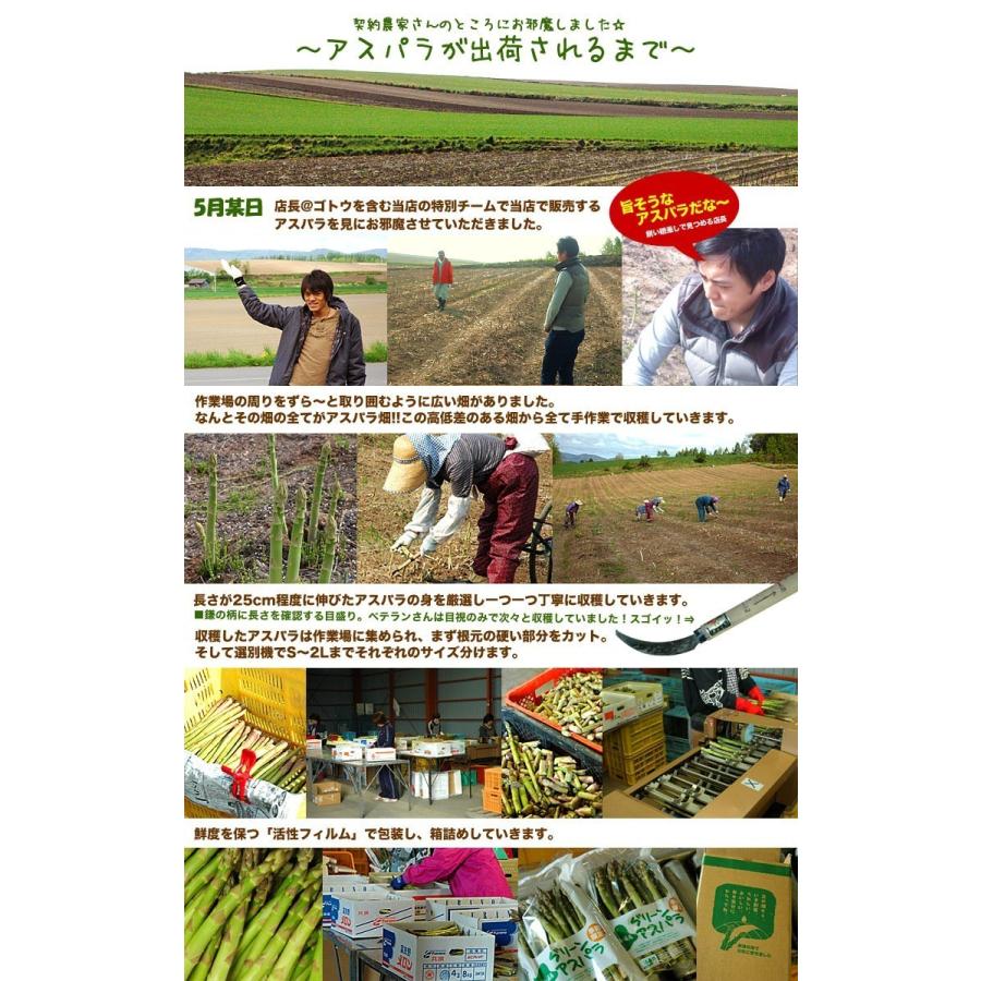 アスパラ 極太2L 1kg (5月下旬前後頃より順次発送) (収穫次第出荷/お届け日指定不可/選択無効/キャンセル不可/受取不在注意) |  | 05