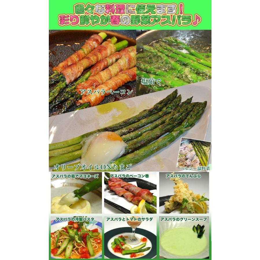 アスパラ 極太2L 1kg (5月下旬前後頃より順次発送) (収穫次第出荷/お届け日指定不可/選択無効/キャンセル不可/受取不在注意) |  | 09