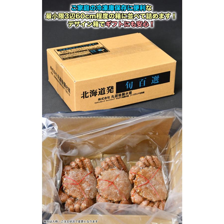 【在庫限り大放出】毛ガニ 360g前後×3尾 合計1kg前後 プレミアム北海道産(毛蟹 毛がに kegani けがに かに カニ味噌 蟹味噌) |  | 03