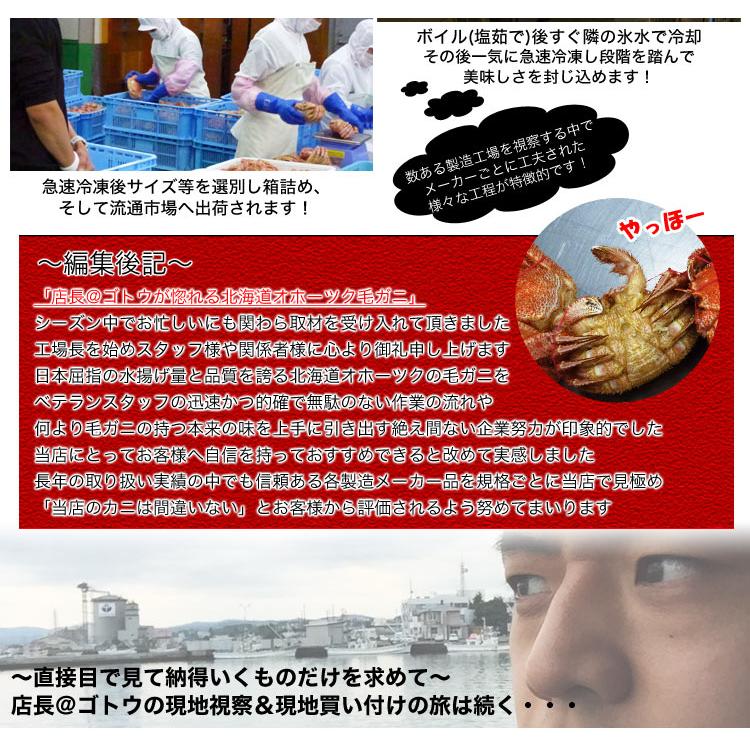 【在庫限り大放出】毛ガニ 360g前後×3尾 合計1kg前後 プレミアム北海道産(毛蟹 毛がに kegani けがに かに カニ味噌 蟹味噌) |  | 05