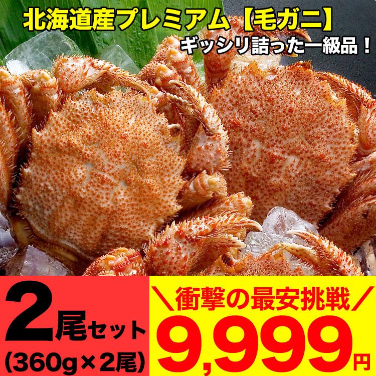 毛ガニ 360g前後×2尾 プレミアム北海道産(毛蟹 毛がに kegani けがに かに カニ味噌 蟹味噌) | 