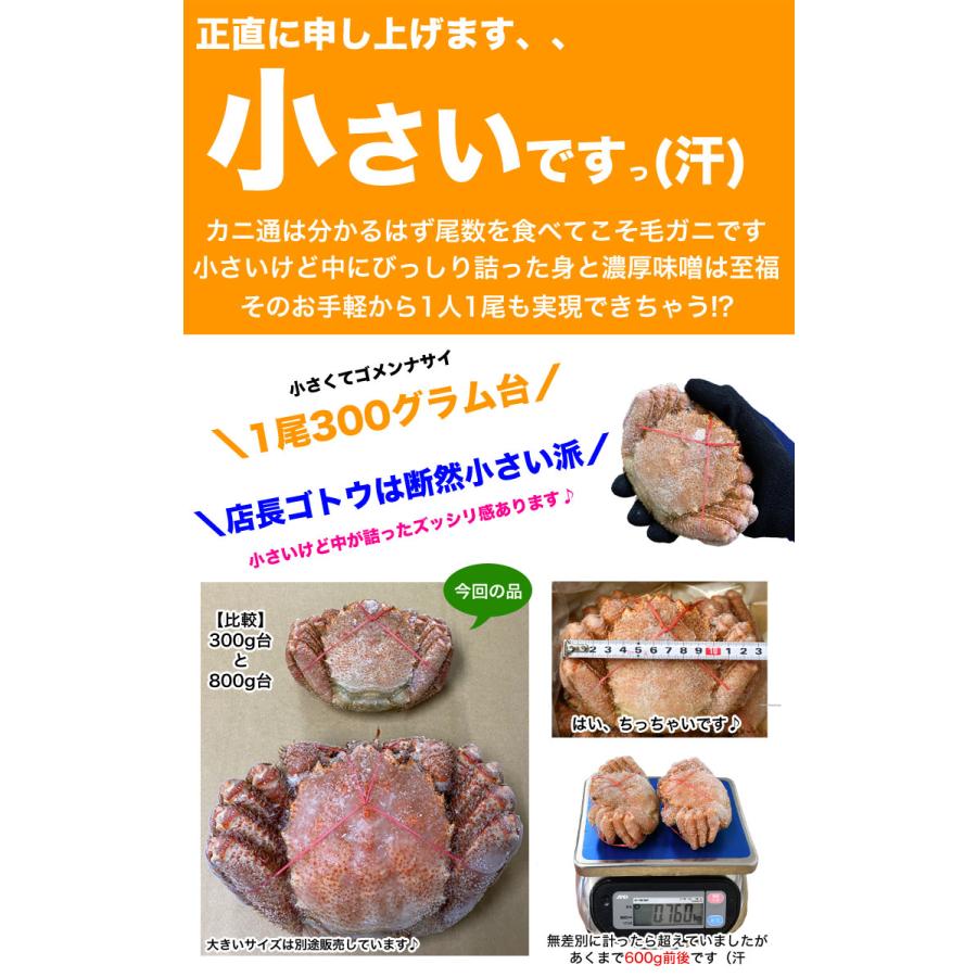 毛ガニ 360g前後×2尾 プレミアム北海道産(毛蟹 毛がに kegani けがに かに カニ味噌 蟹味噌) |  | 02