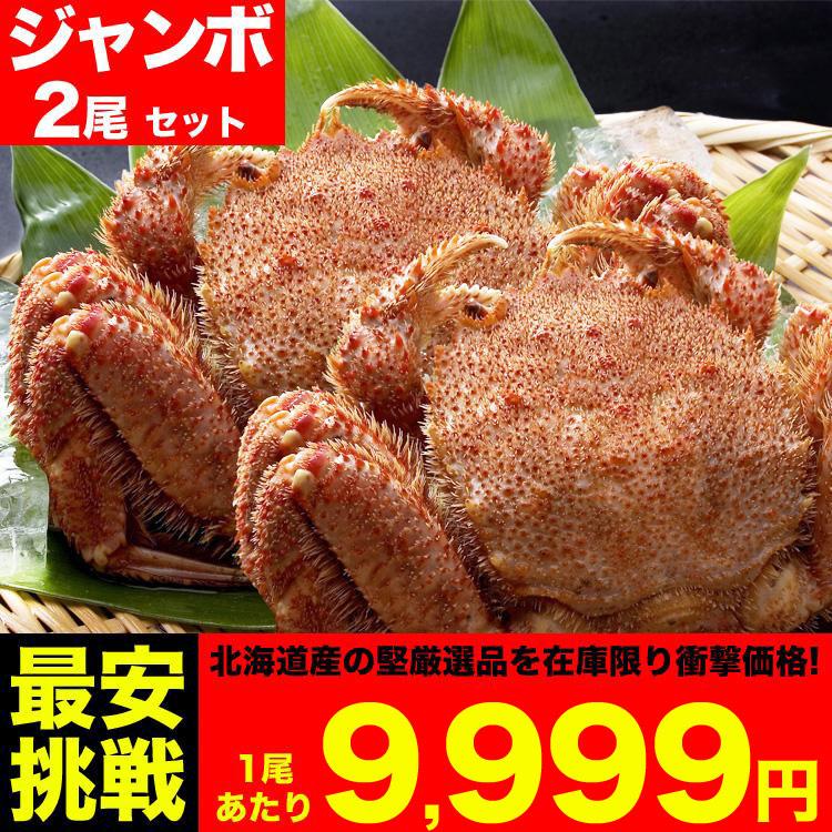 毛ガニ 超 特大 ジャンボ 800g前後 2尾 合計1.6kg前後 北海道産 (毛蟹