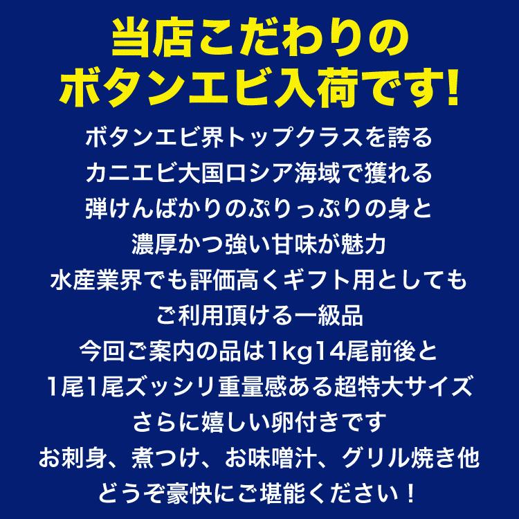 ぼたんえび ボタンエビ 1kg 約14尾 超特大（海鮮丼 手巻き寿司 チラシ寿司 刺身） |  | 01