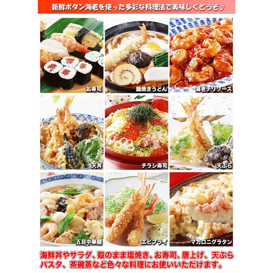 ぼたんえび ボタンエビ 1kg 約14尾 超特大（海鮮丼 手巻き寿司 チラシ寿司 刺身） |  | 10