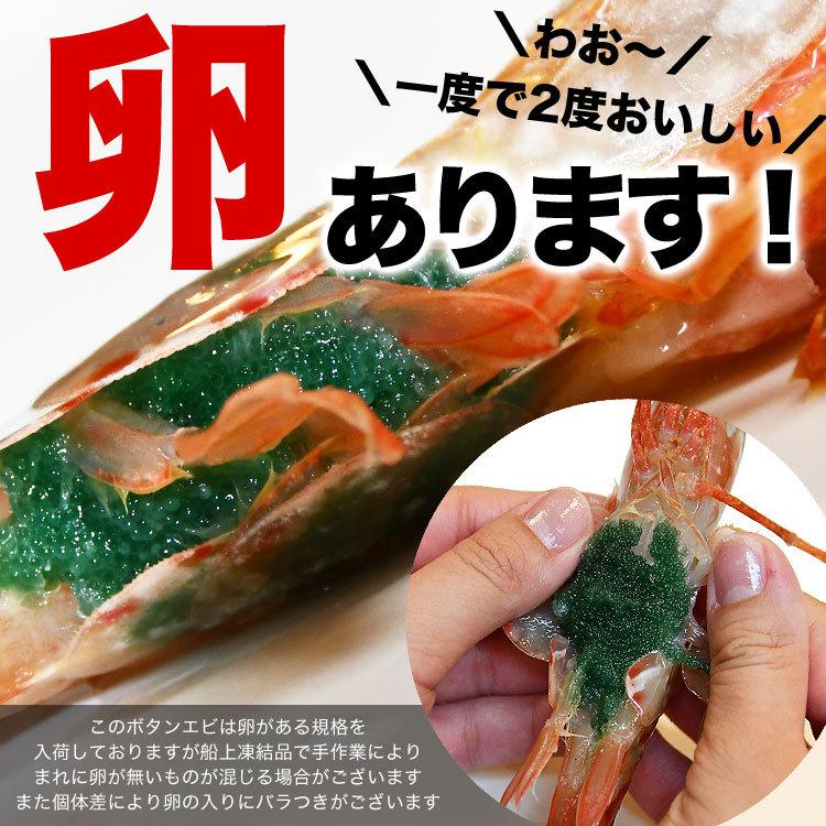 ぼたんえび ボタンエビ 1kg 約14尾 超特大（海鮮丼 手巻き寿司 チラシ寿司 刺身） |  | 03