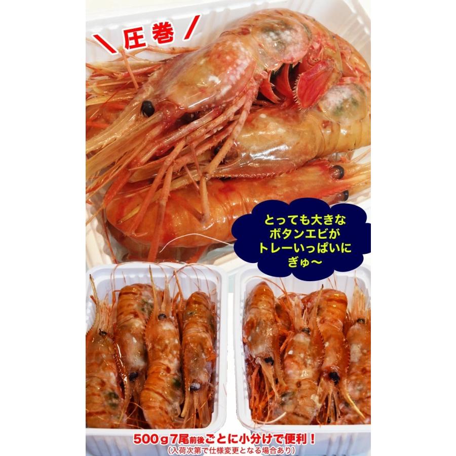 ぼたんえび ボタンエビ 1kg 約14尾 超特大（海鮮丼 手巻き寿司 チラシ寿司 刺身） |  | 05