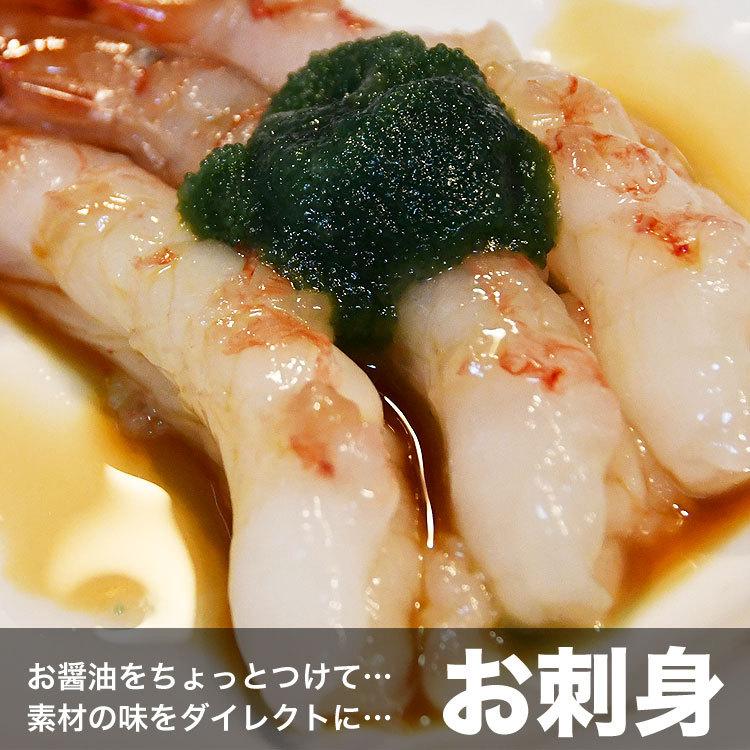 ぼたんえび ボタンエビ 1kg 約14尾 超特大（海鮮丼 手巻き寿司 チラシ寿司 刺身） |  | 06