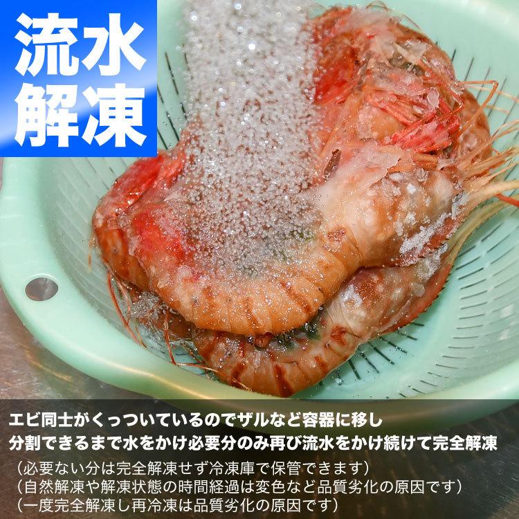 ぼたんえび ボタンエビ 1kg 約14尾 超特大（海鮮丼 手巻き寿司 チラシ寿司 刺身） |  | 09