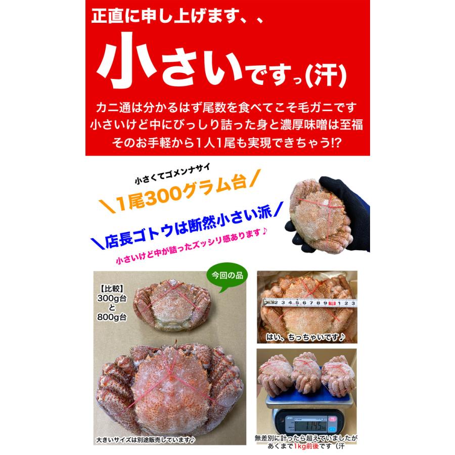 毛ガニ 360g前後×1尾 プレミアム北海道産(毛蟹 毛がに kegani けがに かに カニ味噌 蟹味噌)｜kod｜03