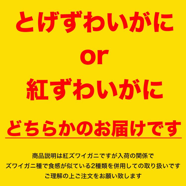 【在庫売尽し大放出】紅ズワイガニ むき身 ポーション 100本 剥き身 ボイル 蟹 カニ かに 紅ずわいがに かにしゃぶ　カニ鍋 |  | 15