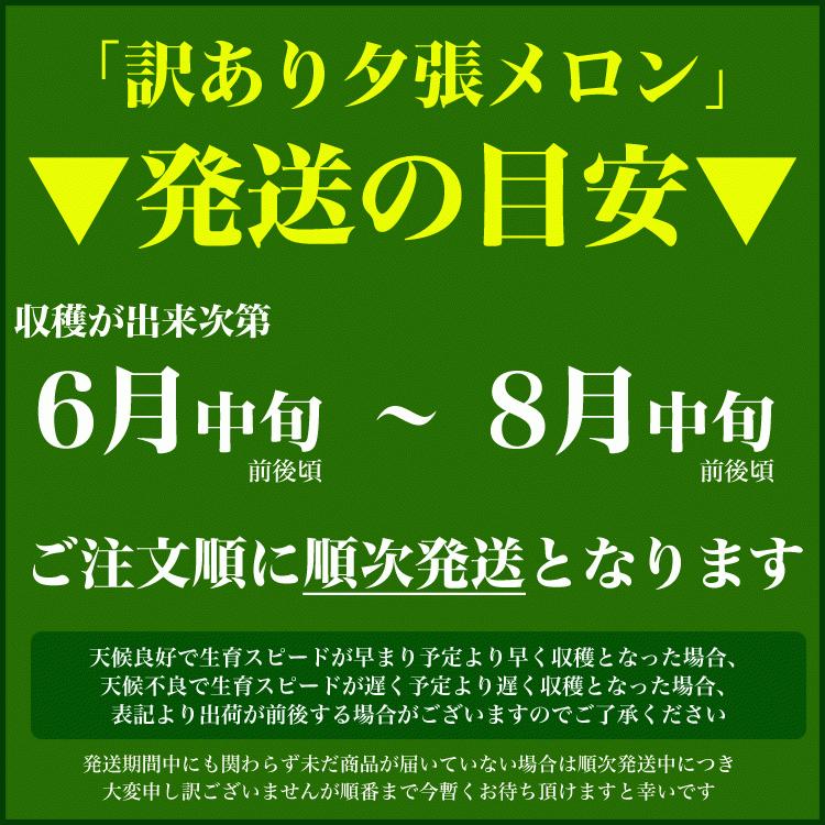 夕張メロン 訳あり 約1.3kg×2玉 (7月中旬前後頃より順次発送) (玉数指定不可/収穫次第出荷/お届け日指定不可/選択無効/キャンセル不可/不在注意) |  | 01