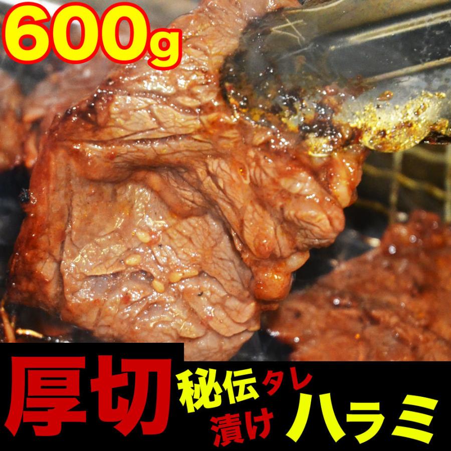 ハラミ サガリ 600g(タレ込み) 2個以上でおまけ特典チャンス (焼肉 BBQ) | 