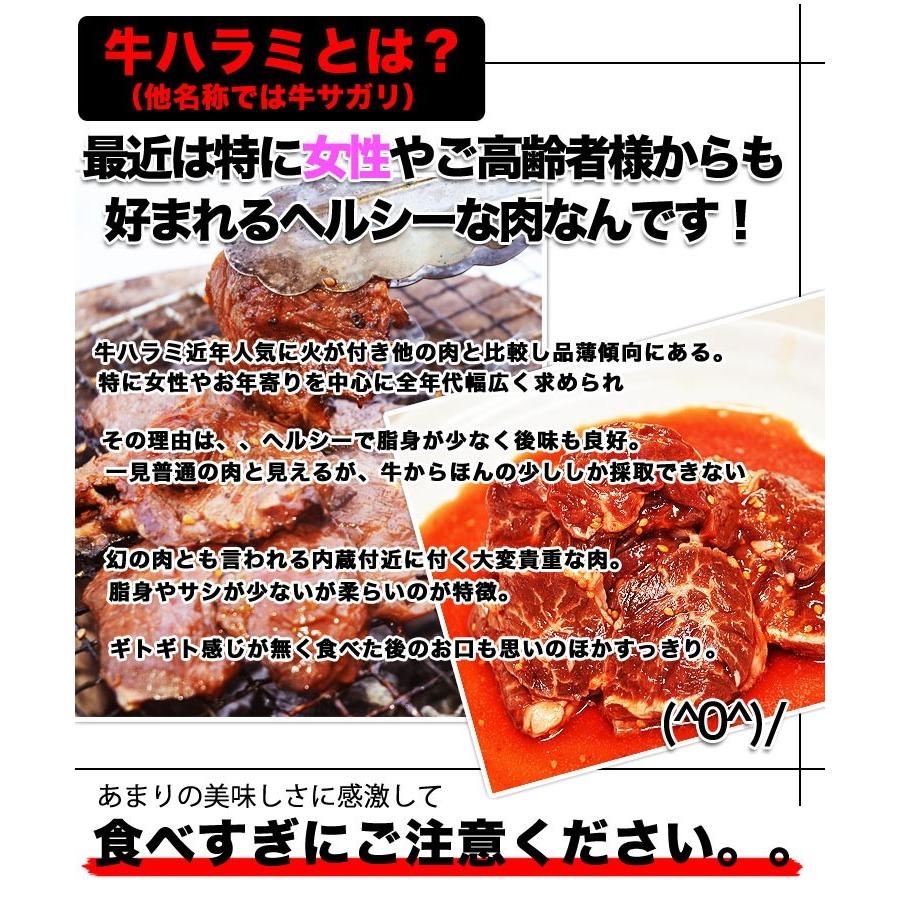 ハラミ サガリ 600g(タレ込み) 2個以上でおまけ特典チャンス (焼肉 BBQ) |  | 03