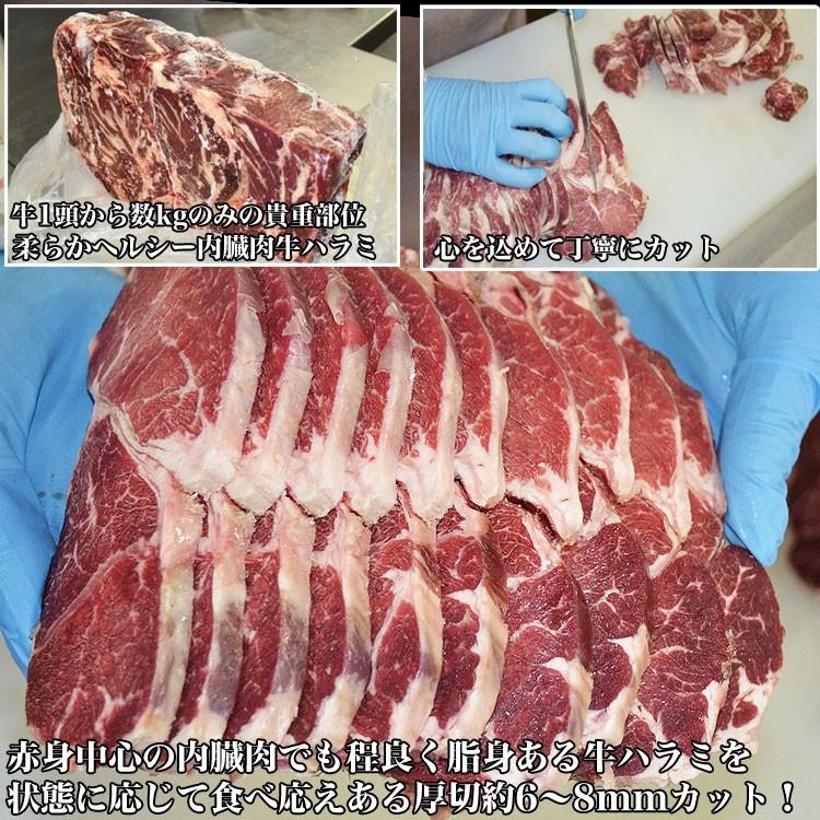 ハラミ サガリ 600g(タレ込み) 2個以上でおまけ特典チャンス (焼肉 BBQ) |  | 04