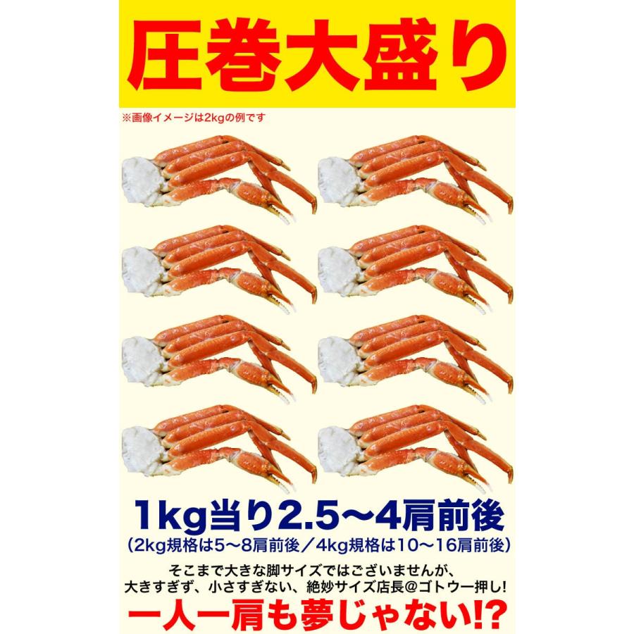 総重量 4kg 大型3L ズワイガニ 脚 足 ボイル （かに ずわい蟹 カニパーティ 大容量）【訳あり 多少足折れ】 |  | 04