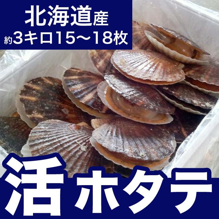 【お届け日指定不可】ホタテ ほたて 活 貝付 2.5〜3kg 15〜18枚前後 (収獲次第出荷/お届け日指定不可/選択無効/キャンセル不可/不在注意)（1〜2週間程度で出荷） | 