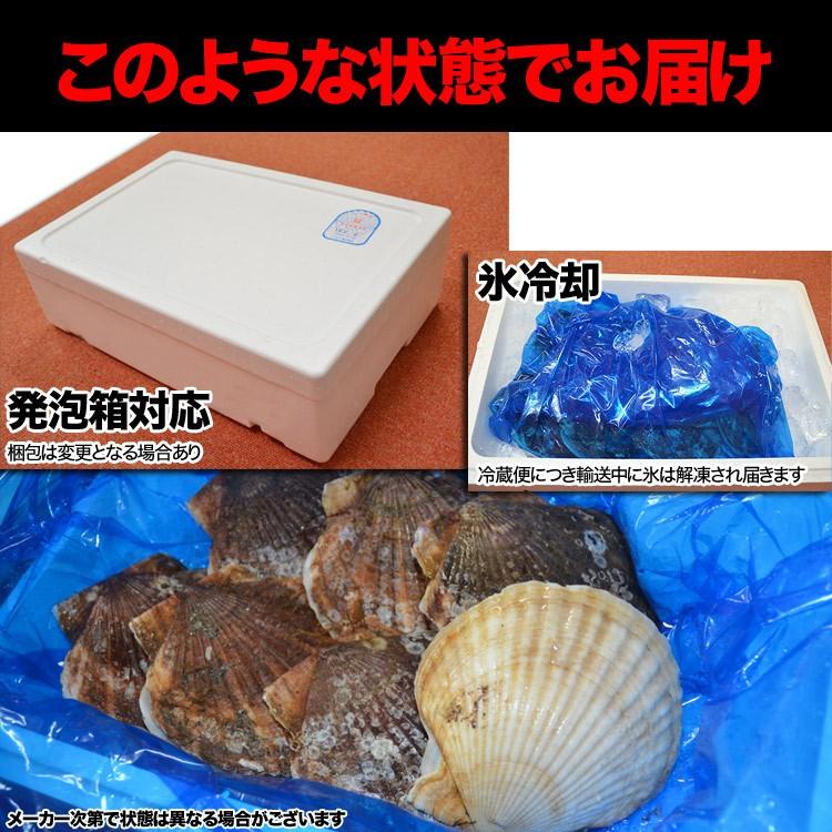 【お届け日指定不可】ホタテ ほたて 活 貝付 2.5〜3kg 15〜18枚前後 (収獲次第出荷/お届け日指定不可/選択無効/キャンセル不可/不在注意)（1〜2週間程度で出荷） |  | 04