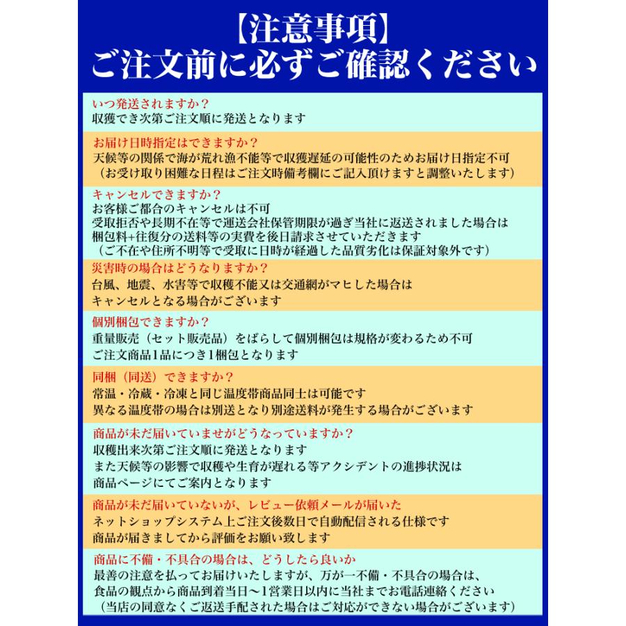 【お届け日指定不可】ホタテ ほたて 活 貝付 2.5〜3kg 15〜18枚前後 (収獲次第出荷/お届け日指定不可/選択無効/キャンセル不可/不在注意)（1〜2週間程度で出荷） |  | 08