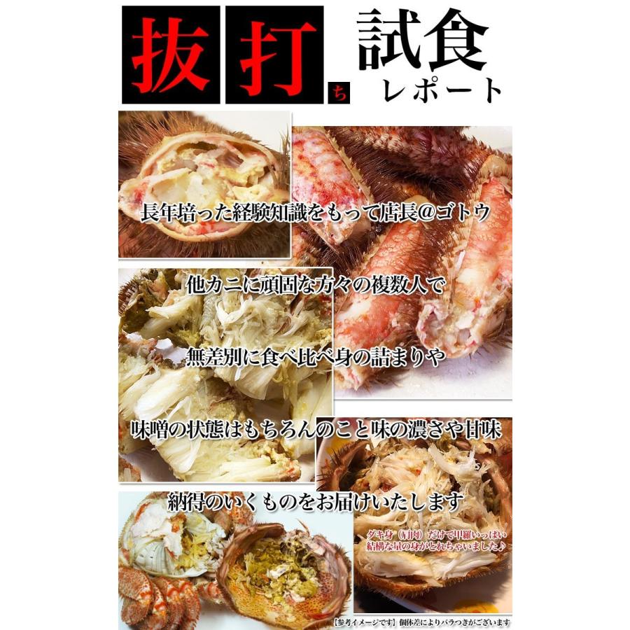【在庫限り】スーパージャンボ 2尾で2kg前後 セット 毛ガニ 北海道産 プレミアム （毛蟹 けがに kegani かに カニ カニ味噌 特大を超えた超特大） |  | 04