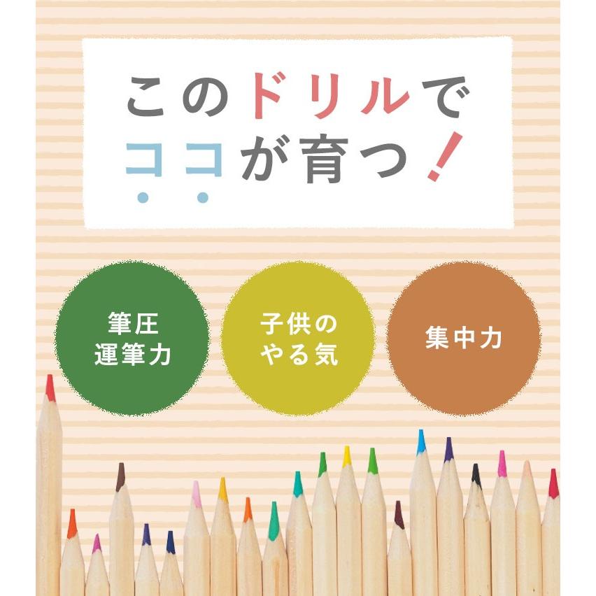 七田式 知育ドリル ドリル 知育 幼児 問題集 シルバーバック しちだ式