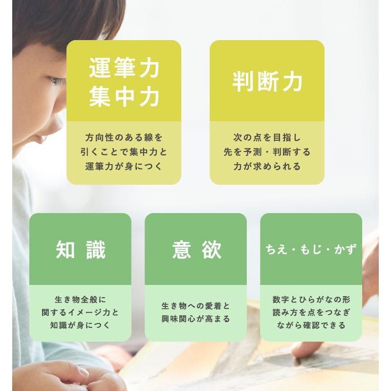 かわいい水の生きものてんつなぎブック3.4歳 学習 点つなぎ 子供用