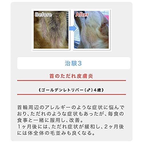 犬の脱ステロイド 黒ずみ 痒み 膿皮症 外耳炎 アトピー アレルギーに プロバイオca 犬のサプリメント 顆粒2g 30包 約30日分 小 中型犬