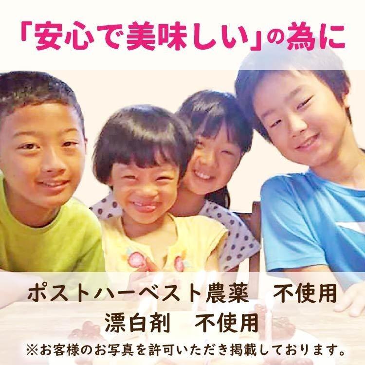 強力粉 ゆめかおり kg 送料無料 茨城県産 小麦粉 国産 パン用粉 パン用小麦粉 パン用強力粉 パン粉 食パン 菓子パン 業務用 大容量 01 Yuka03 こだわり粉屋 通販 Yahoo ショッピング