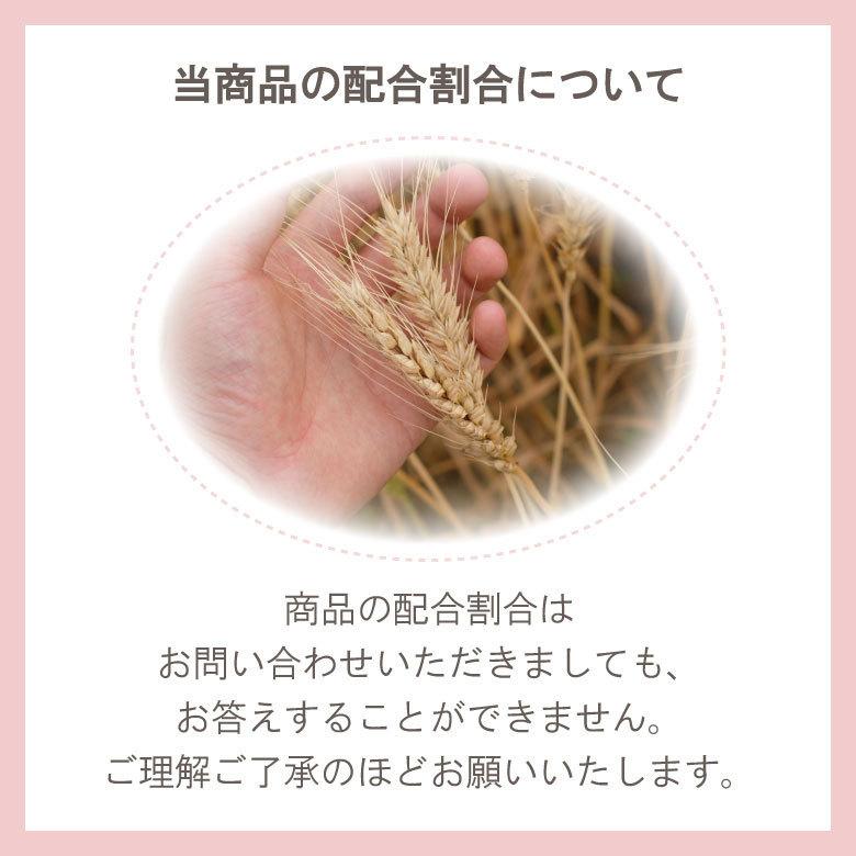 そば粉 丸抜石臼挽き 極 1kg 北海道産 蕎麦粉 国産 美味しい 蟻巣石 低温倉庫保管 玄そば ガレット 手打ちそば そば打ち 前田食品 | 前田食品 | 10