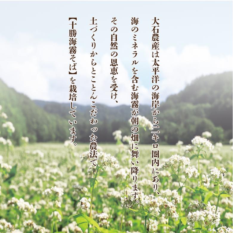 そば粉 十勝 海霧そば 5kg 農薬不使用 蕎麦 北海道産 十勝海霧そば 大石農産 風味豊か 自家製紛 石臼挽き 化学肥料不使用 前田食品 | 前田食品 | 03