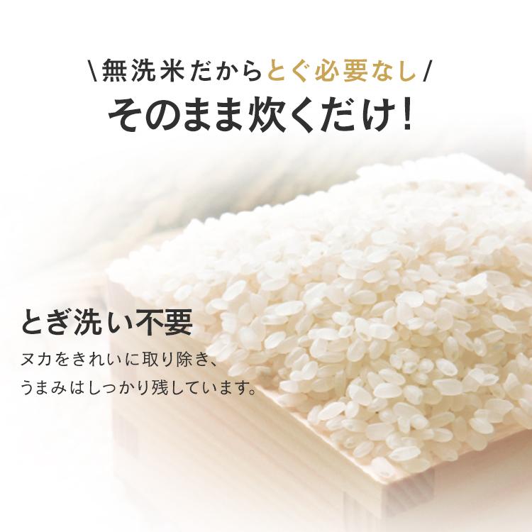 無洗米 6kg 送料無料 魚沼産こしひかり お米 こしひかり 2合パック 一等米100％ 低温製法米 アイリスオーヤマ 令和5年度産｜kodawari-y｜02